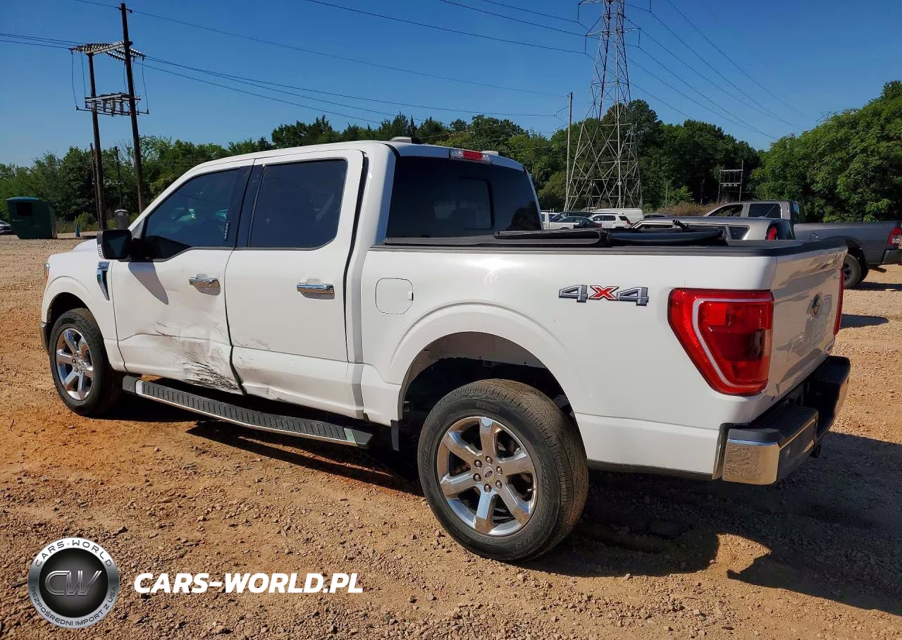 2023 Ford F150 Supercrew VIN:1FTFW1E81PKG05785 - 2