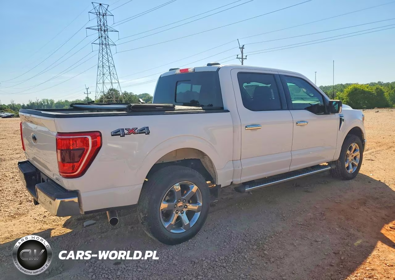 2023 Ford F150 Supercrew VIN:1FTFW1E81PKG05785 - 3