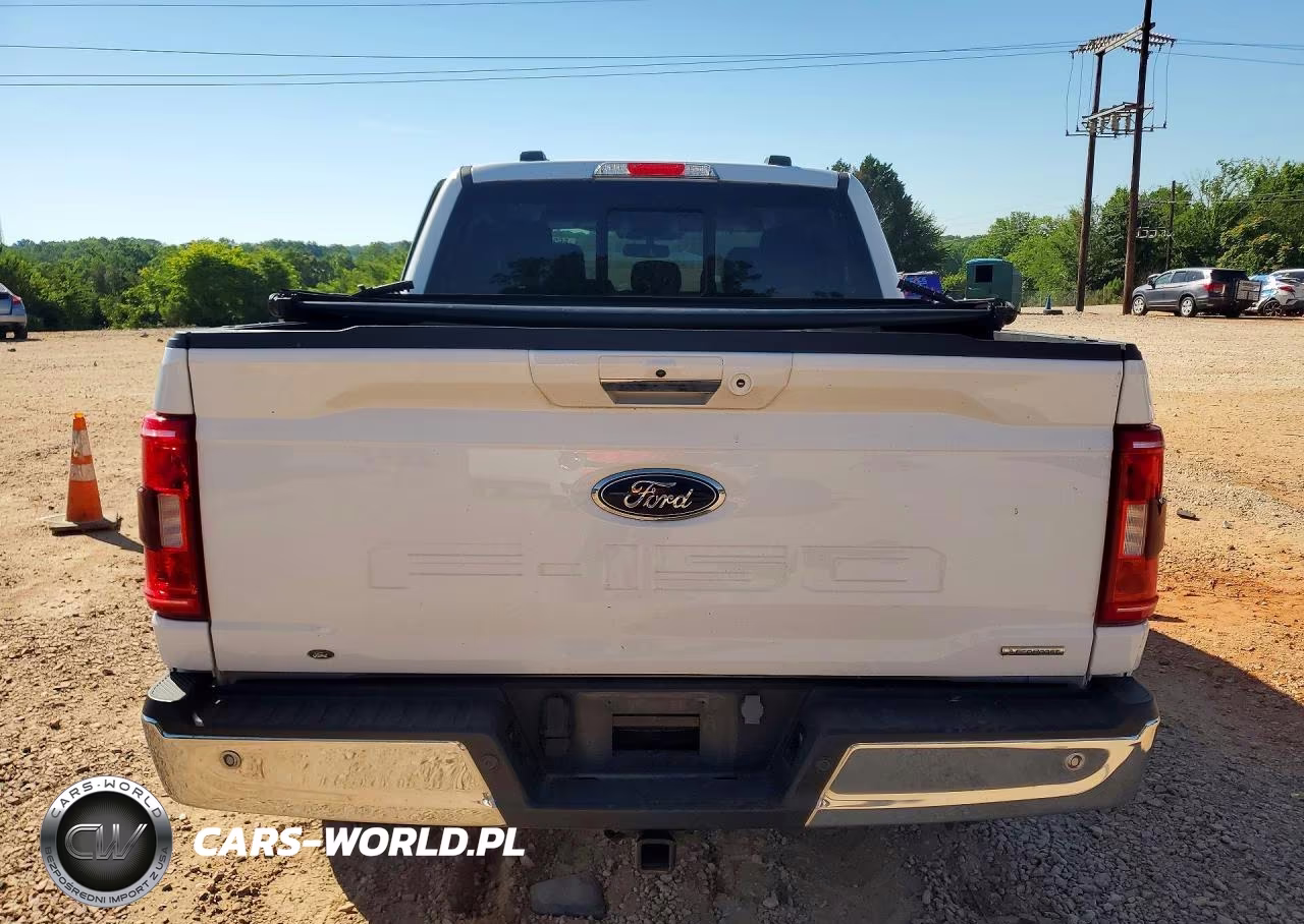 2023 Ford F150 Supercrew VIN:1FTFW1E81PKG05785 - 6