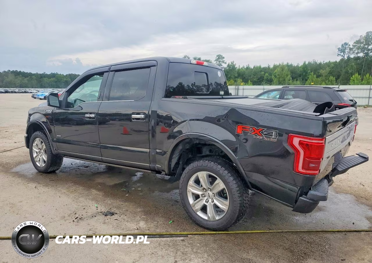 2015 Ford F150 Supercrew VIN:1FTEW1EG1FFA95593 - 2