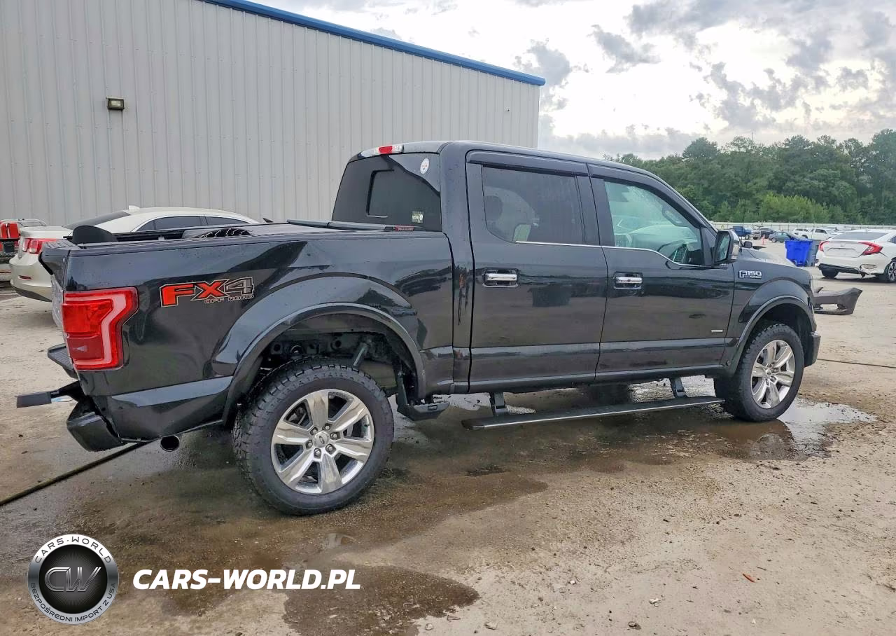 2015 Ford F150 Supercrew VIN:1FTEW1EG1FFA95593 - 3