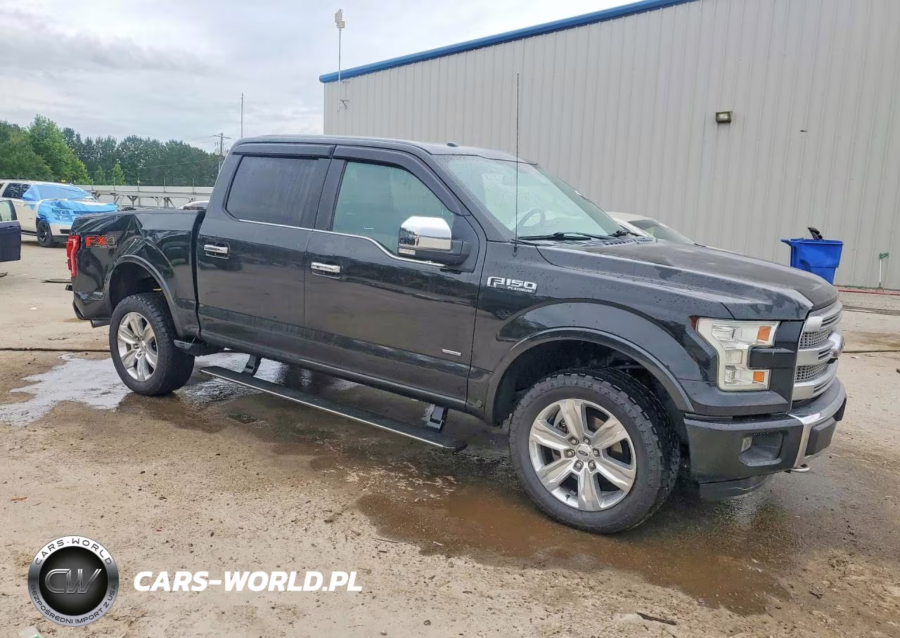 2015 Ford F150 Supercrew VIN:1FTEW1EG1FFA95593 - 4