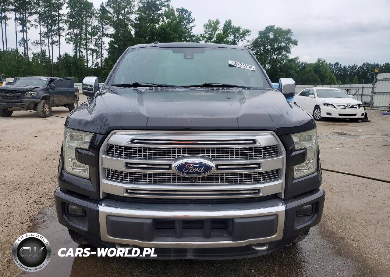 2015 Ford F150 Supercrew VIN:1FTEW1EG1FFA95593 - 5