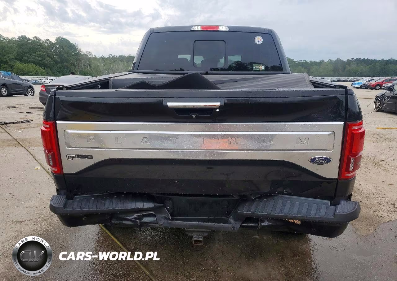 2015 Ford F150 Supercrew VIN:1FTEW1EG1FFA95593 - 6
