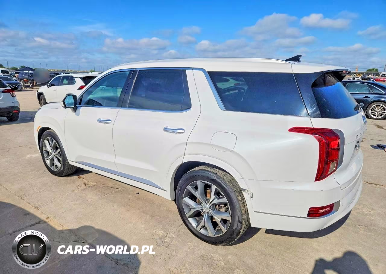 2021 Hyundai Palisade Limited VIN:KM8R5DHE0MU206249 - 2