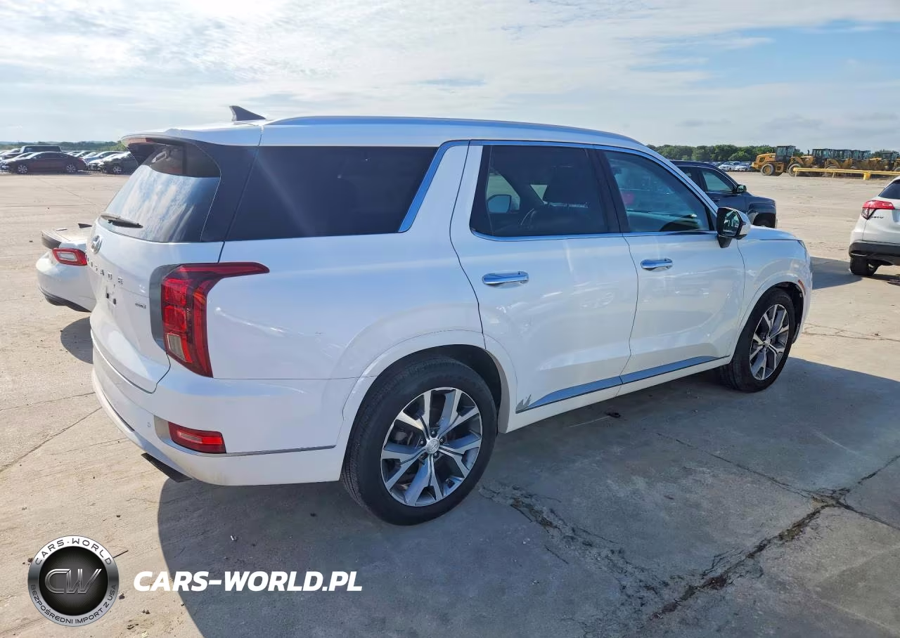 2021 Hyundai Palisade Limited VIN:KM8R5DHE0MU206249 - 3