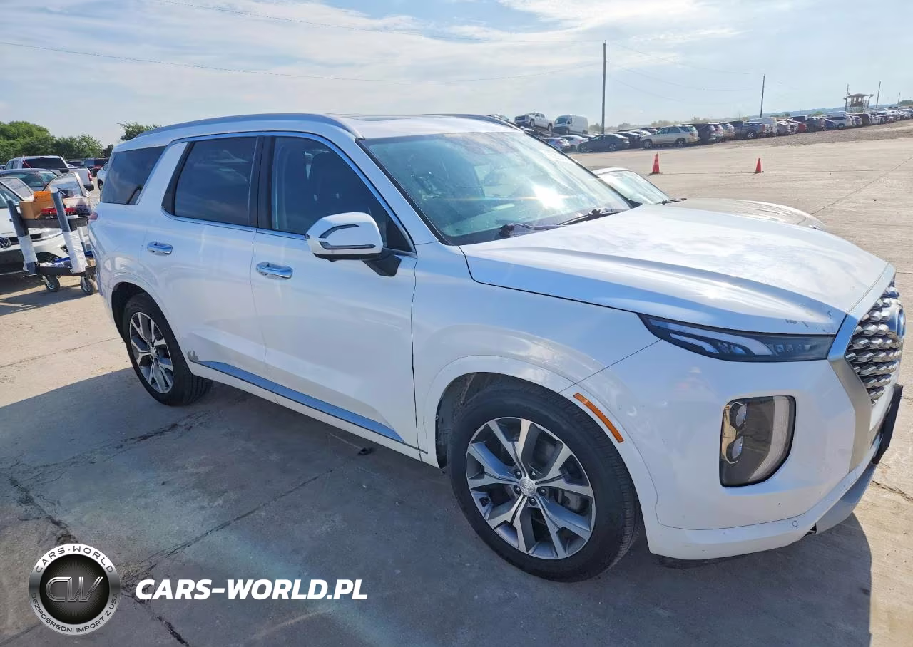 2021 Hyundai Palisade Limited VIN:KM8R5DHE0MU206249 - 4
