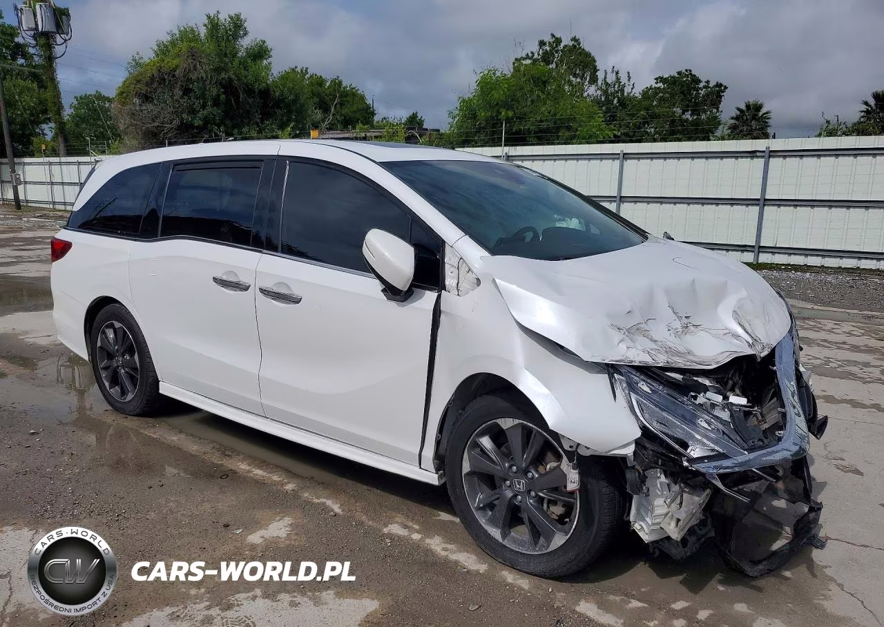 2022 Honda Odyssey Elite VIN:5FNRL6H99NB006294 - 4