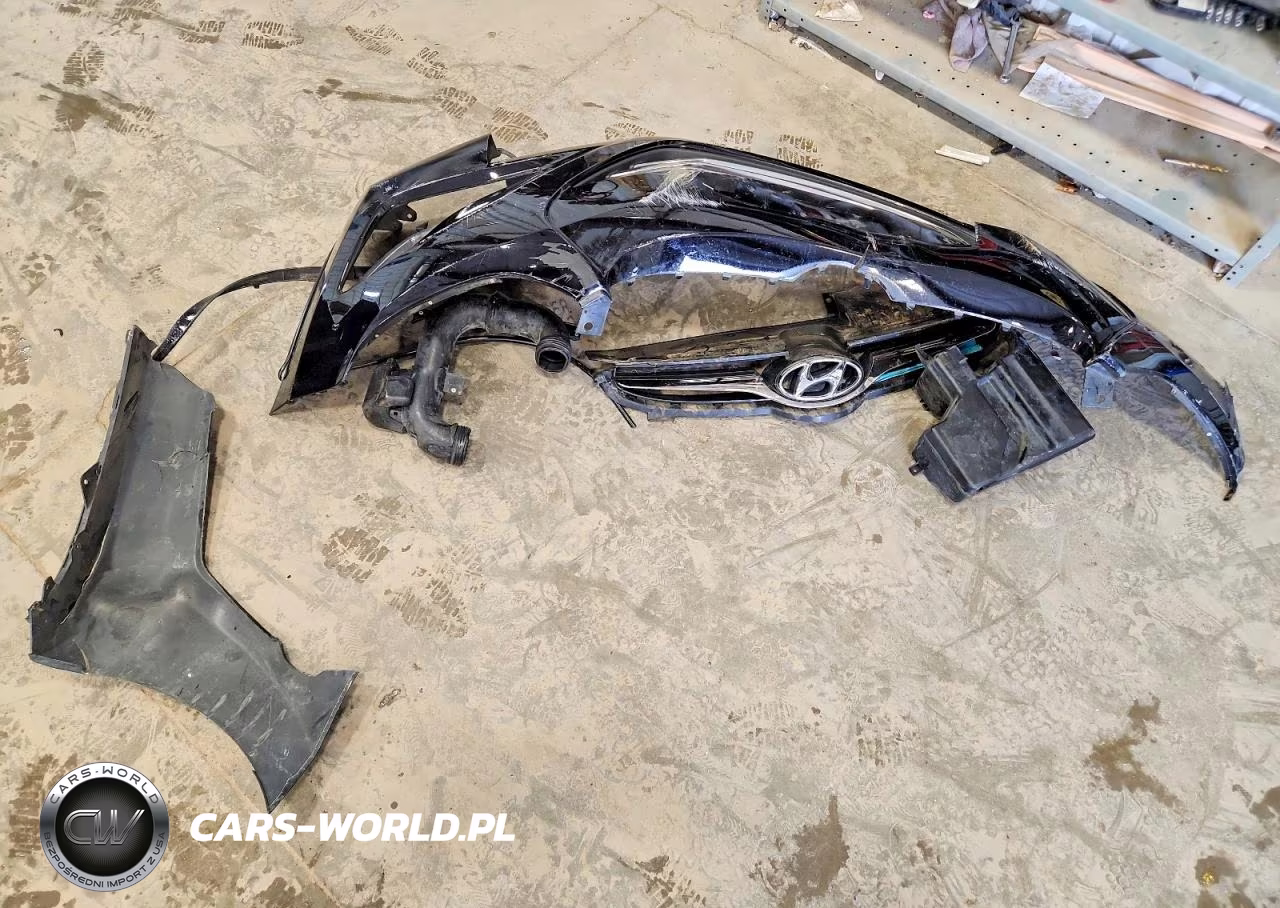 2015 Hyundai Elantra Sport VIN:KMHDH4AH4FU342649 - 12