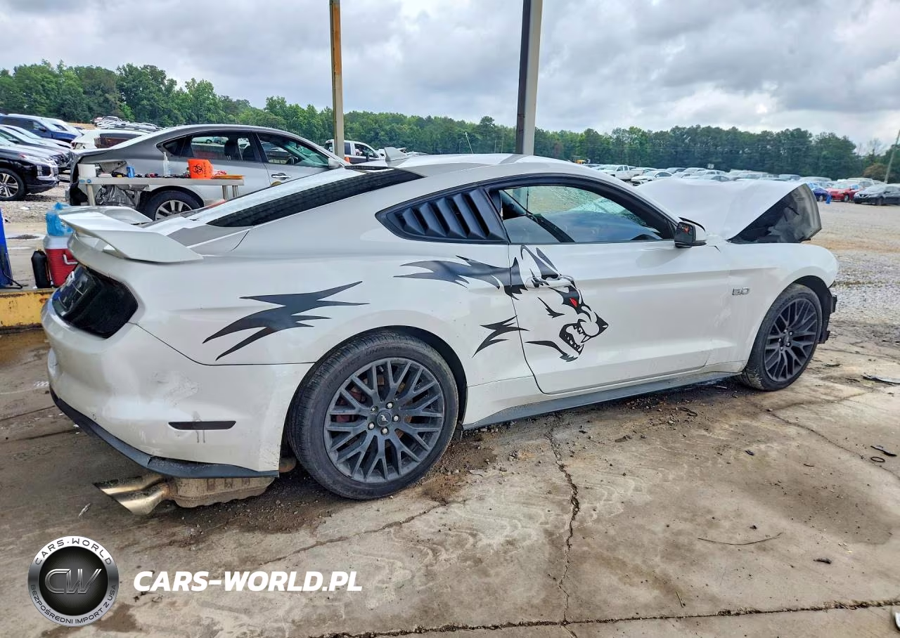 2020 Ford Mustang Gt VIN:1FA6P8CF7L5174875 - 3