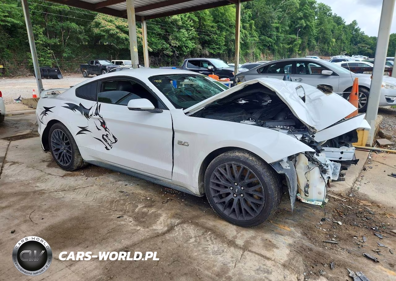 2020 Ford Mustang Gt VIN:1FA6P8CF7L5174875 - 4
