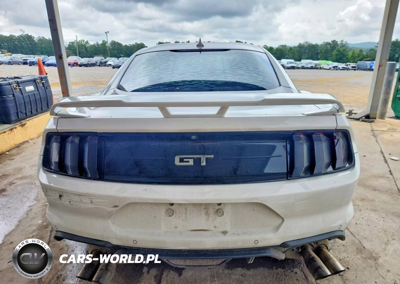 2020 Ford Mustang Gt VIN:1FA6P8CF7L5174875 - 6