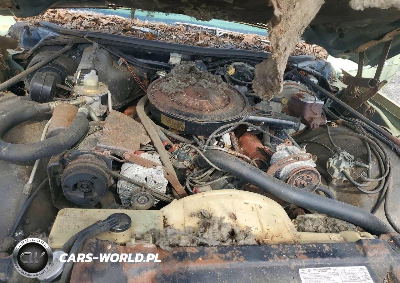 1974 Buick Regal VIN:4J57J4H185598 - 11