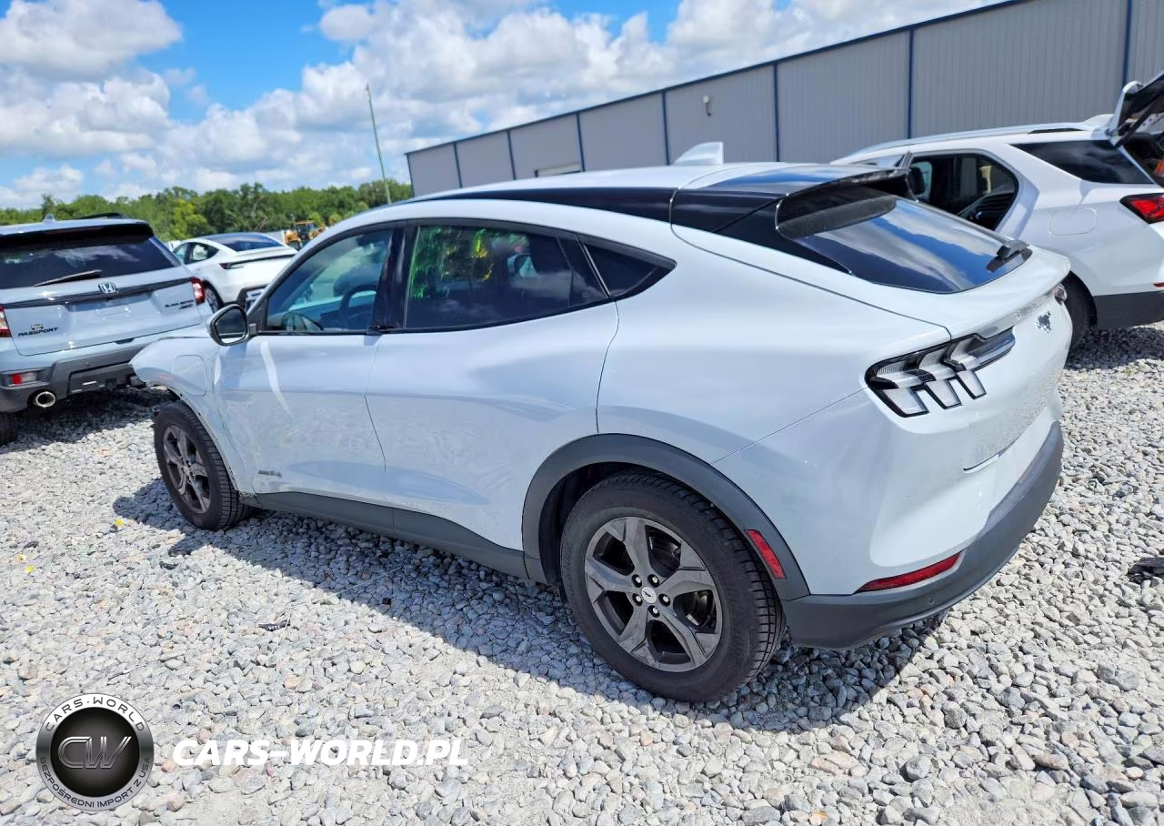 2021 Ford Mustang Mach-E Select VIN:3FMTK1SS7MMA60397 - 2