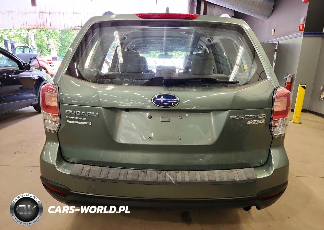 2017 Subaru Forester 2.5I VIN:JF2SJABC4HH430096 - 6
