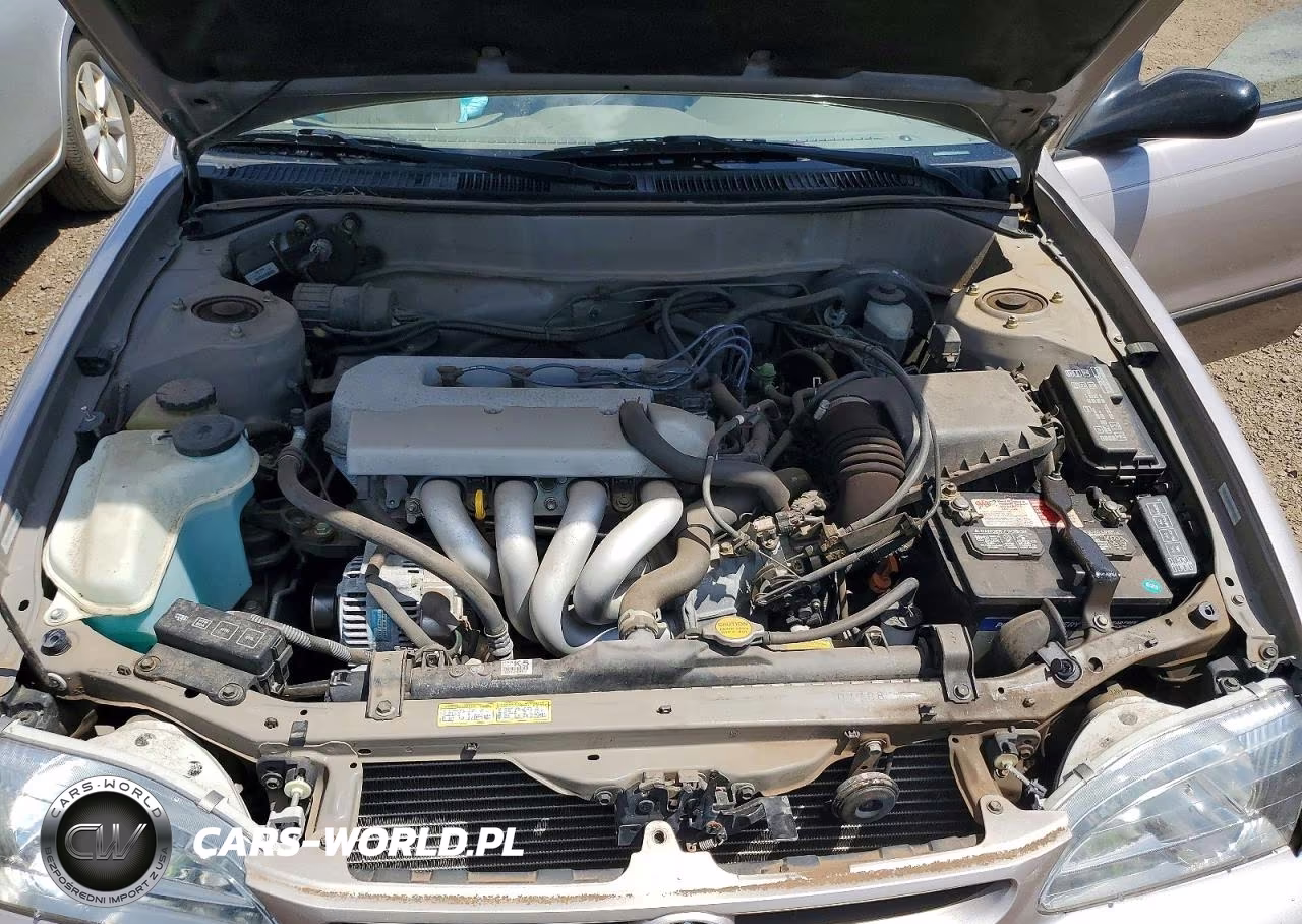 1999 Toyota Corolla Ve VIN:1NXBR12E6XZ298307 - 11