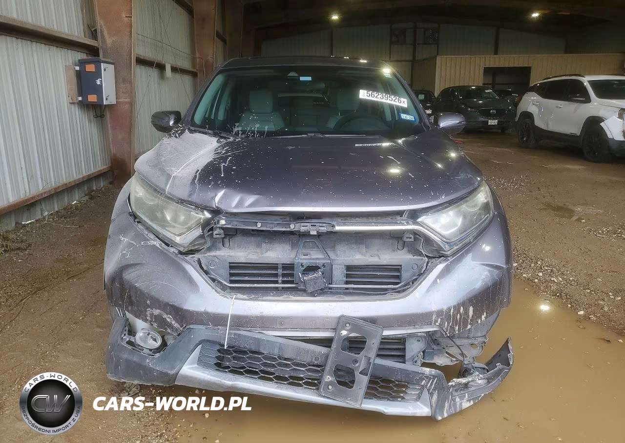2019 Honda Cr-V Ex VIN:5J6RW1H55KA010462 - 5