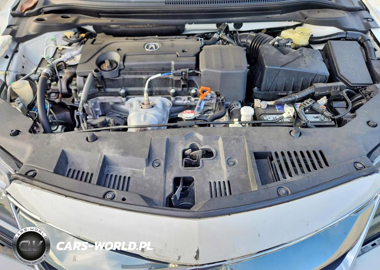 2016 Acura Ilx Premium VIN:19UDE2F81GA015866 - 11