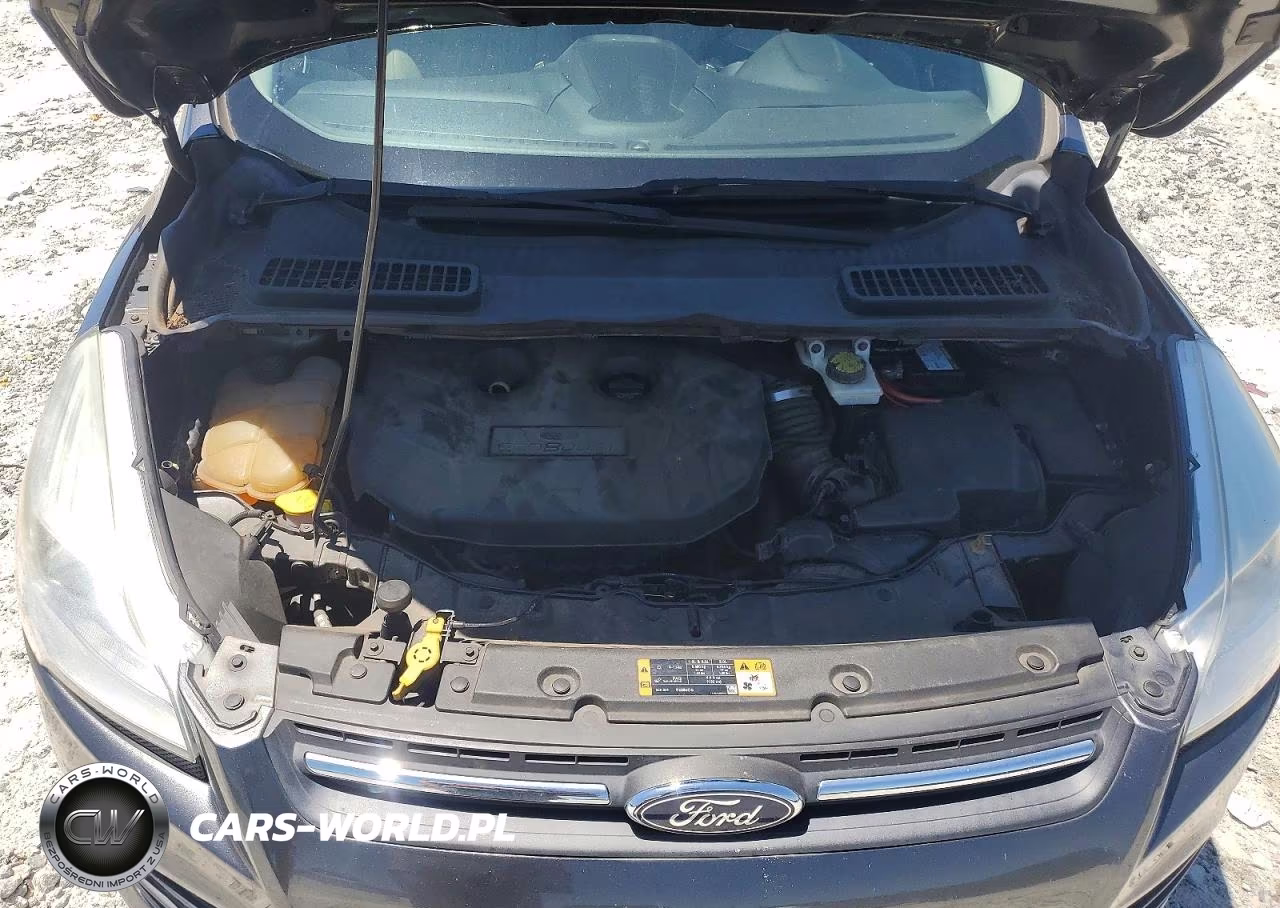 2015 Ford Escape Se VIN:1FMCU0G96FUB10697 - 12
