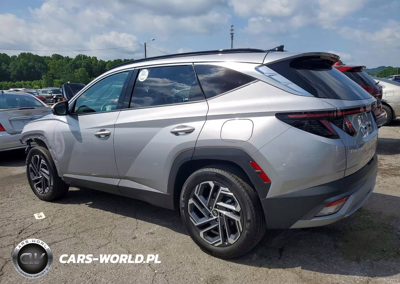 2025 Hyundai Tucson Limited VIN:KM8JEDD11SU295701 - 2