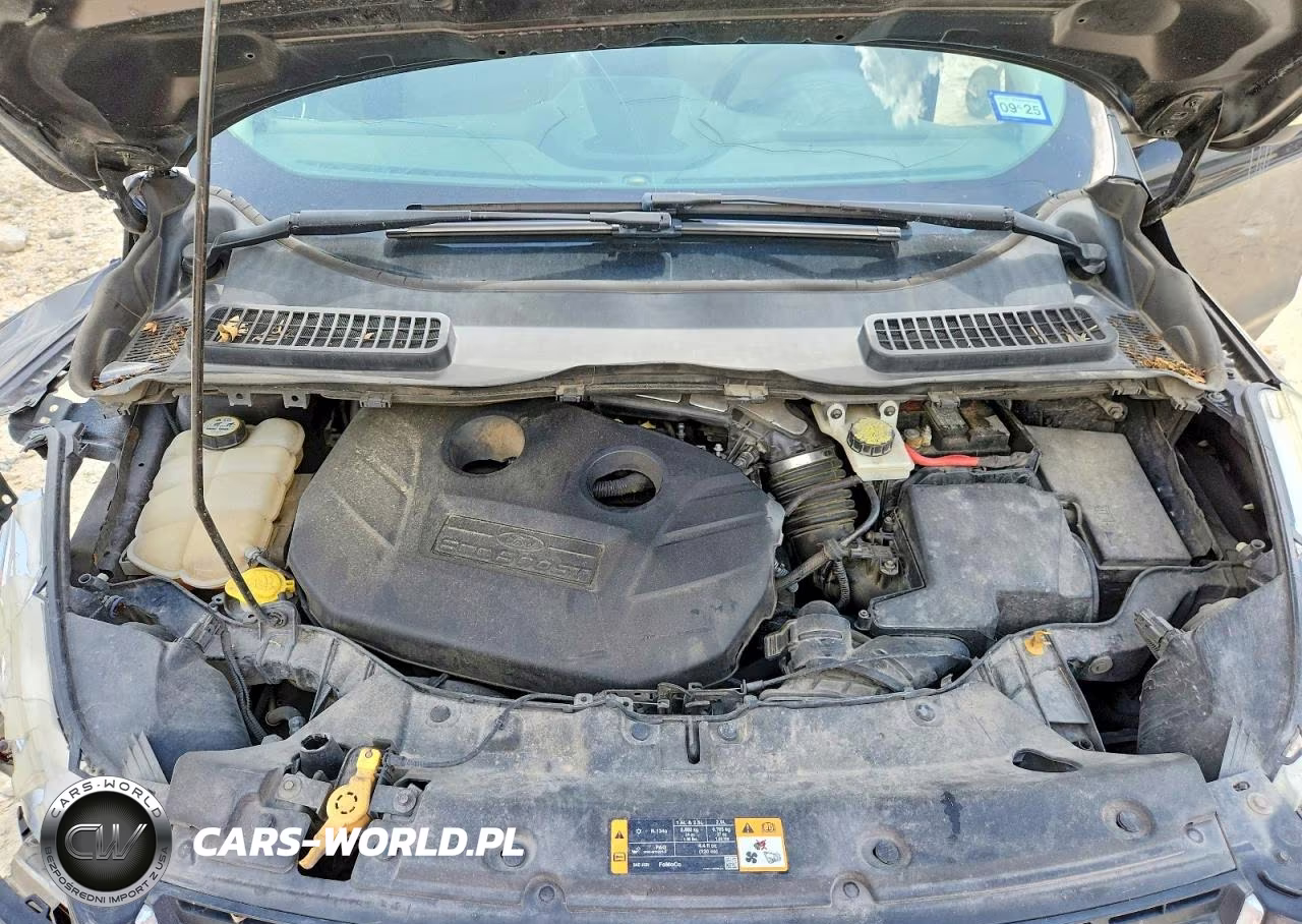 2013 Ford Escape Sel VIN:1FMCU9H94DUA06760 - 12