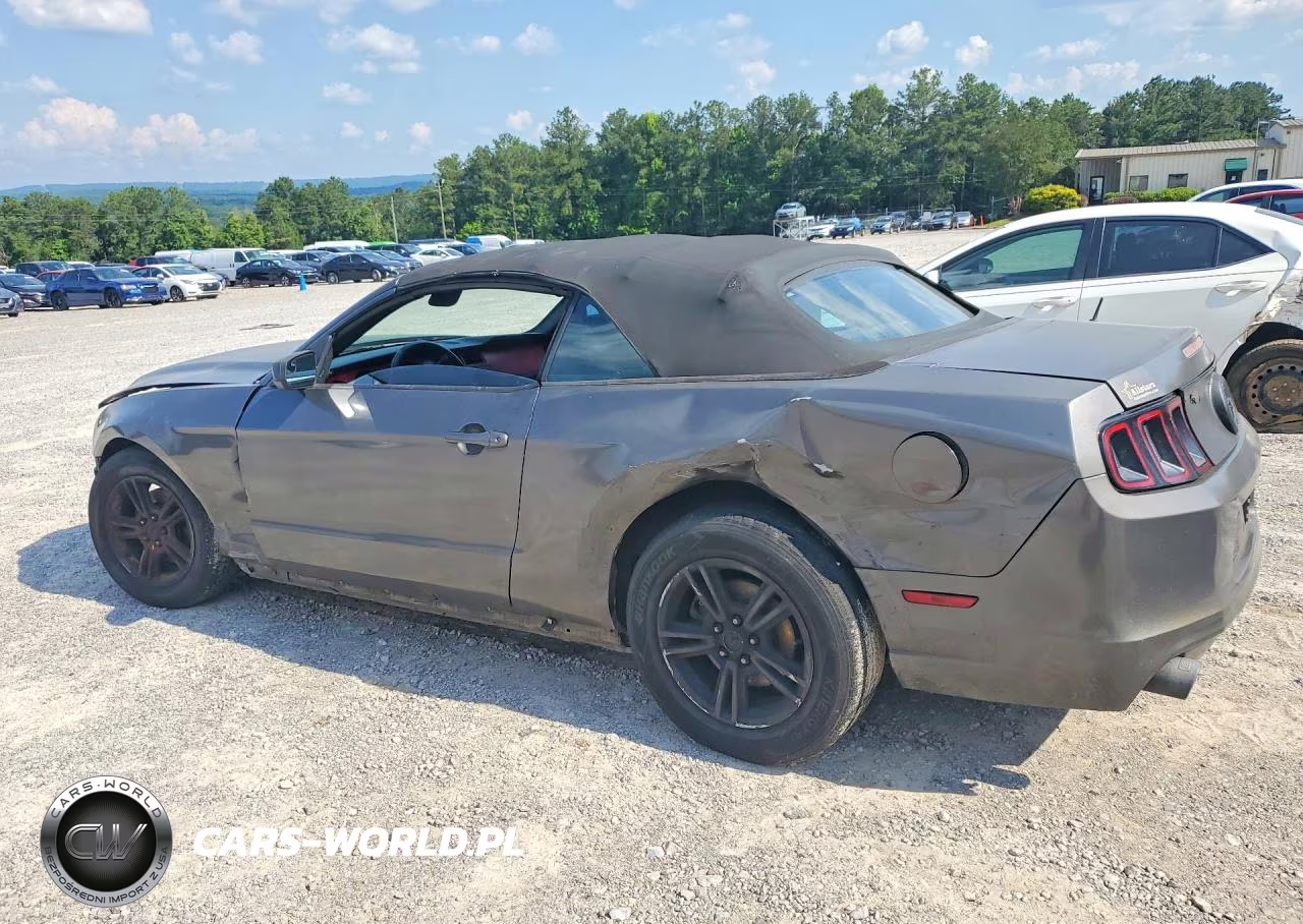 2014 Ford Mustang VIN:1ZVBP8EM7E5263611 - 2
