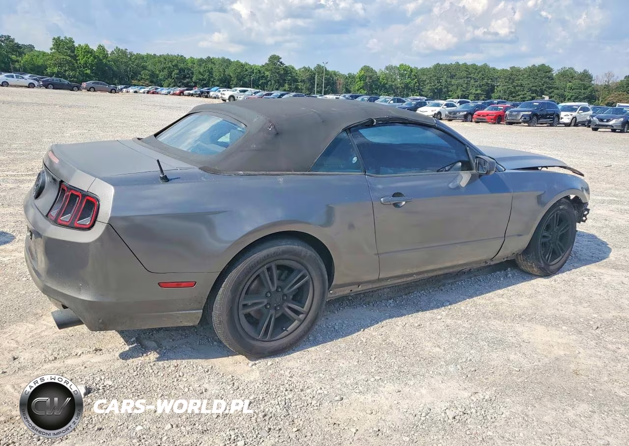 2014 Ford Mustang VIN:1ZVBP8EM7E5263611 - 3