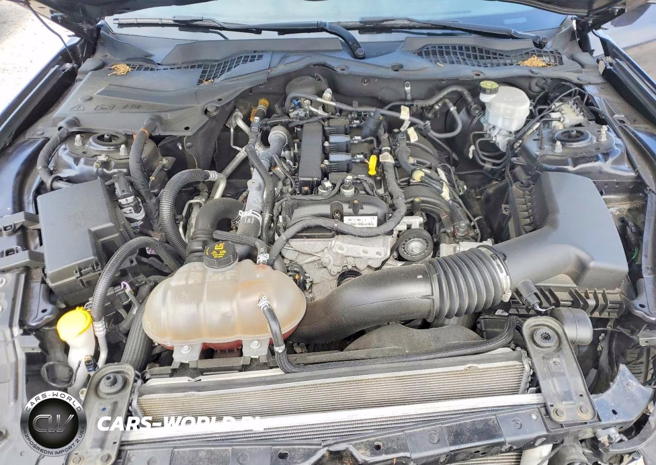 2021 Ford Mustang Ecoboost Fastback VIN:1FA6P8TH5M5152151 - 11