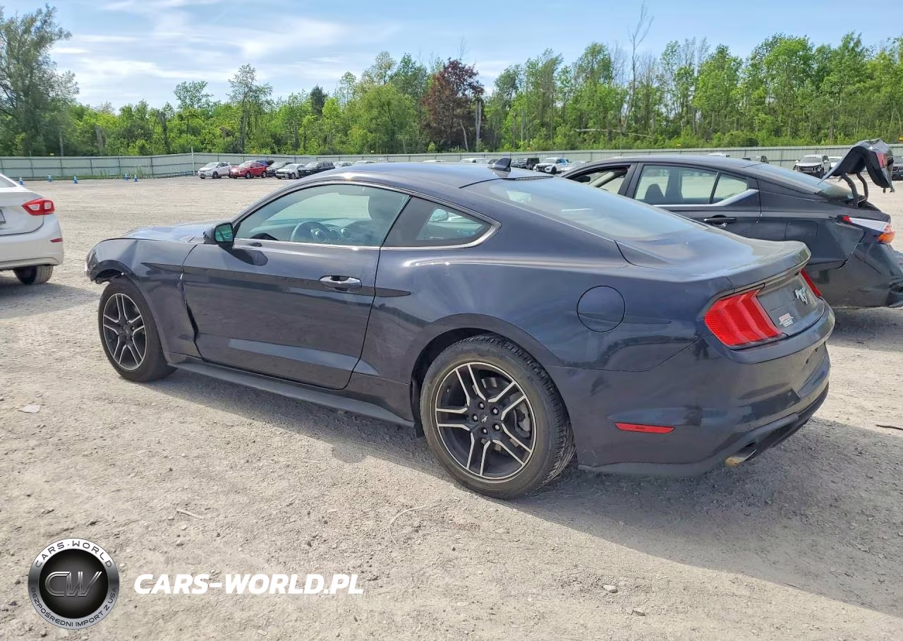 2021 Ford Mustang Ecoboost Fastback VIN:1FA6P8TH5M5152151 - 2