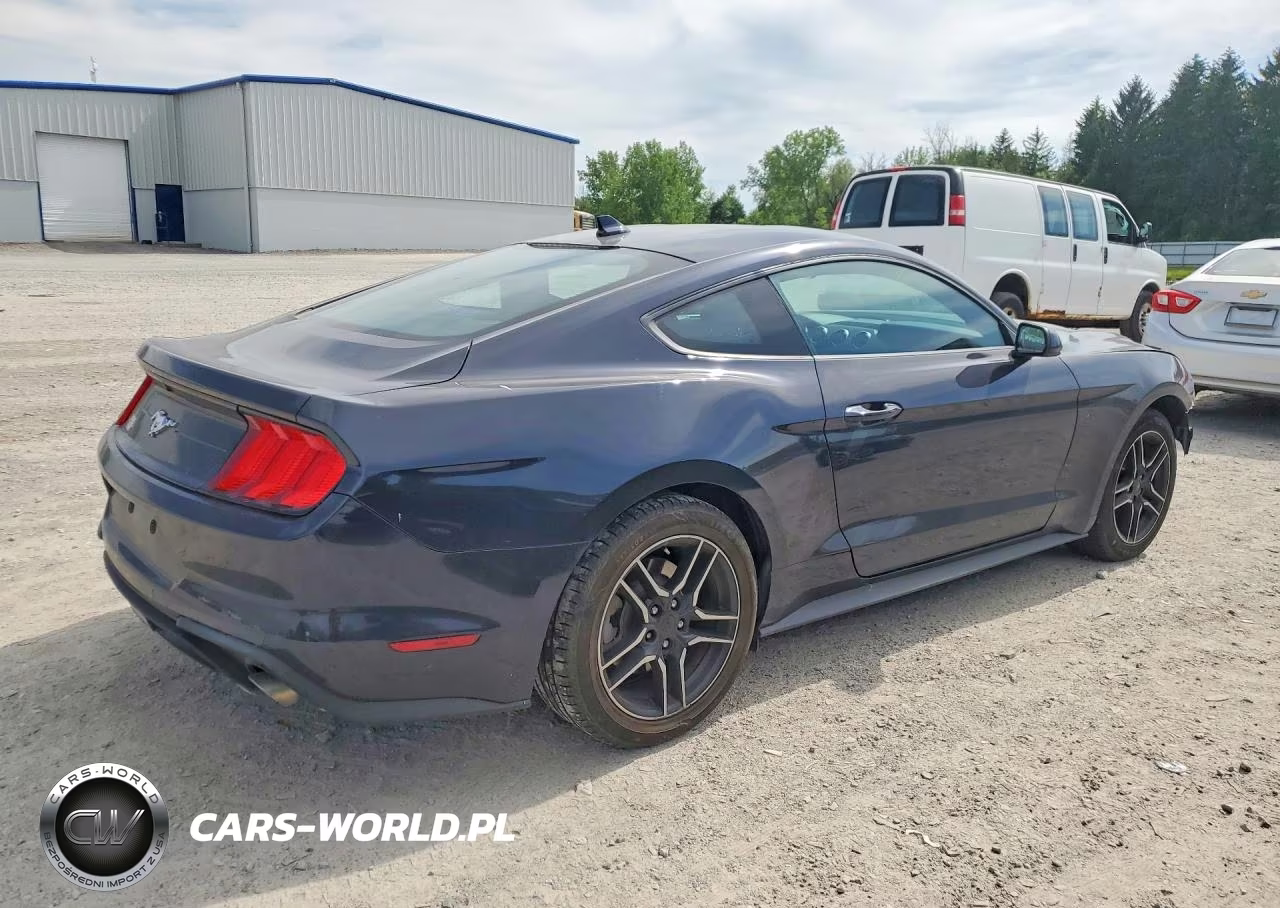 2021 Ford Mustang Ecoboost Fastback VIN:1FA6P8TH5M5152151 - 3