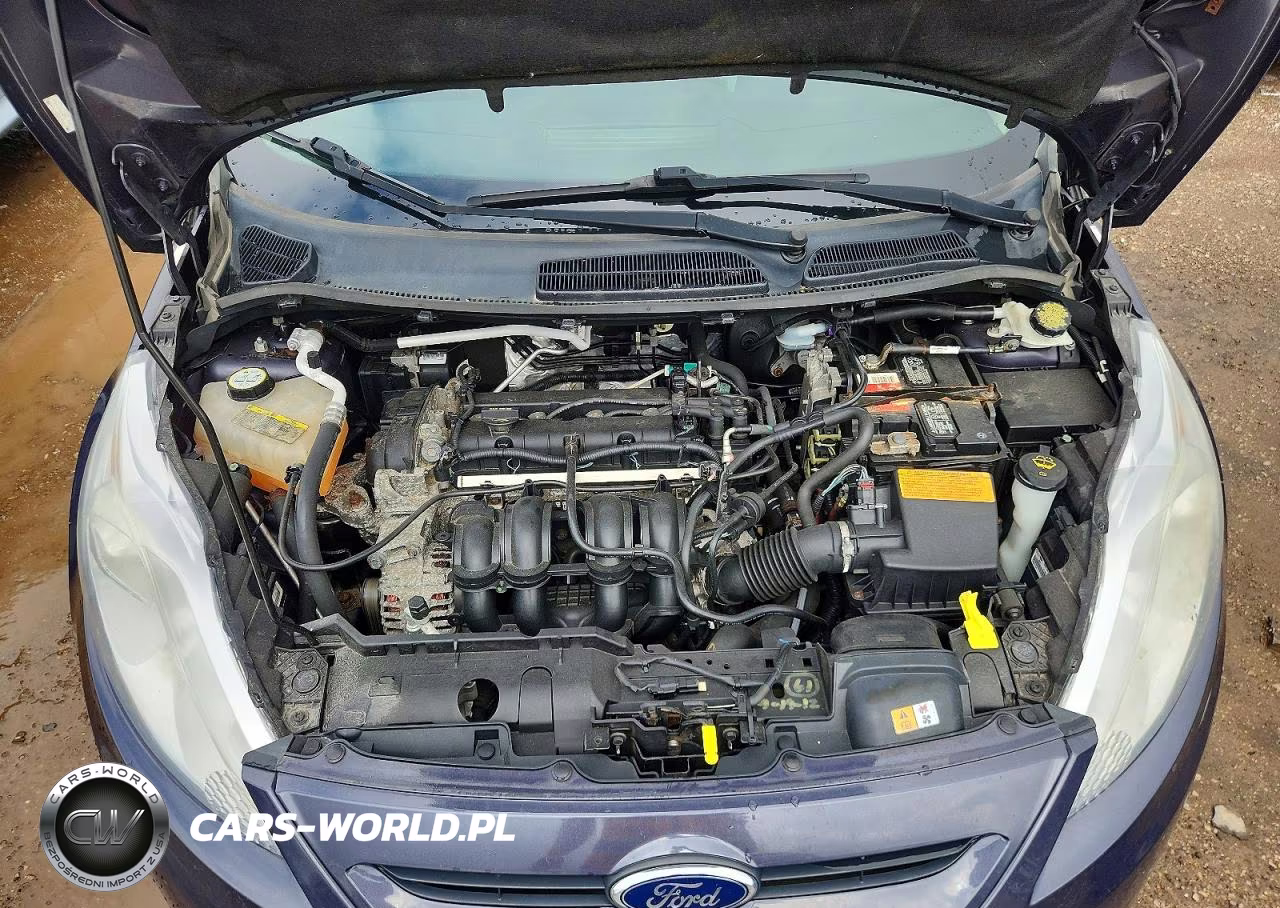 2013 Ford Fiesta Se VIN:3FADP4EJ6DM131965 - 11