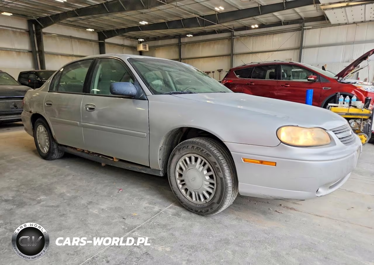 2004 Chevrolet Malibu VIN:1G1ND52F54M605096 - 4