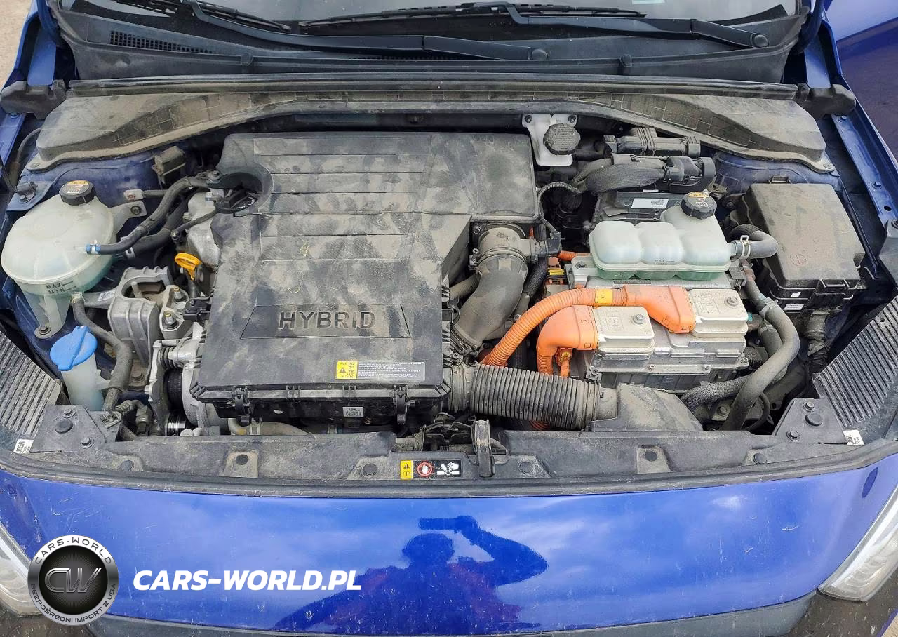 2019 Hyundai Ioniq Blue VIN:KMHC65LC1KU129290 - 11