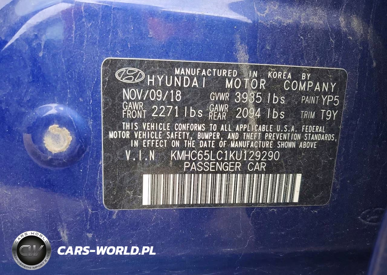 2019 Hyundai Ioniq Blue VIN:KMHC65LC1KU129290 - 12