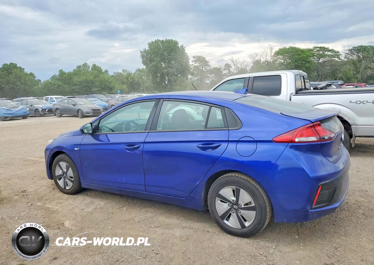 2019 Hyundai Ioniq Blue VIN:KMHC65LC1KU129290 - 2