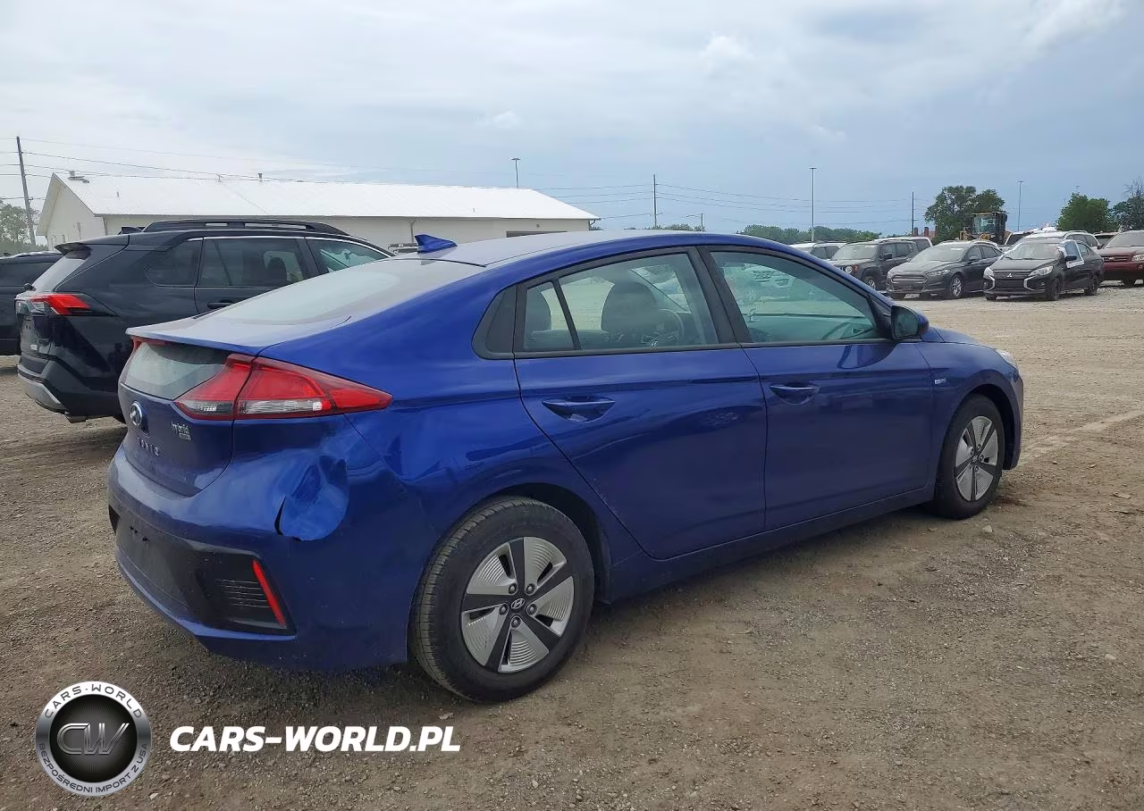2019 Hyundai Ioniq Blue VIN:KMHC65LC1KU129290 - 3