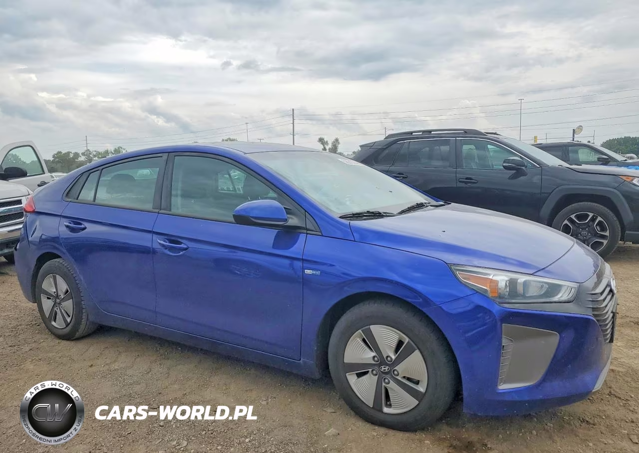 2019 Hyundai Ioniq Blue VIN:KMHC65LC1KU129290 - 4