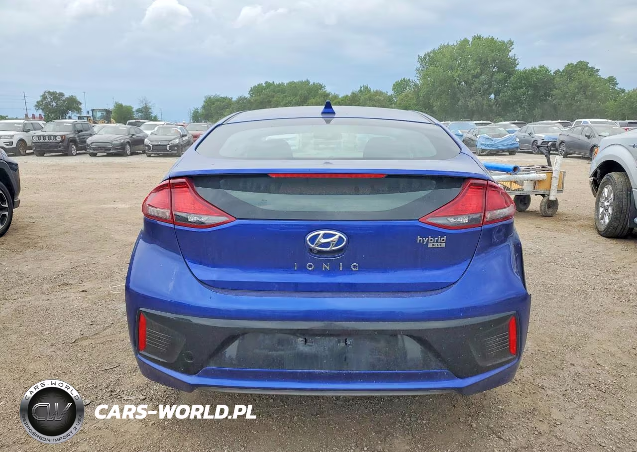 2019 Hyundai Ioniq Blue VIN:KMHC65LC1KU129290 - 6