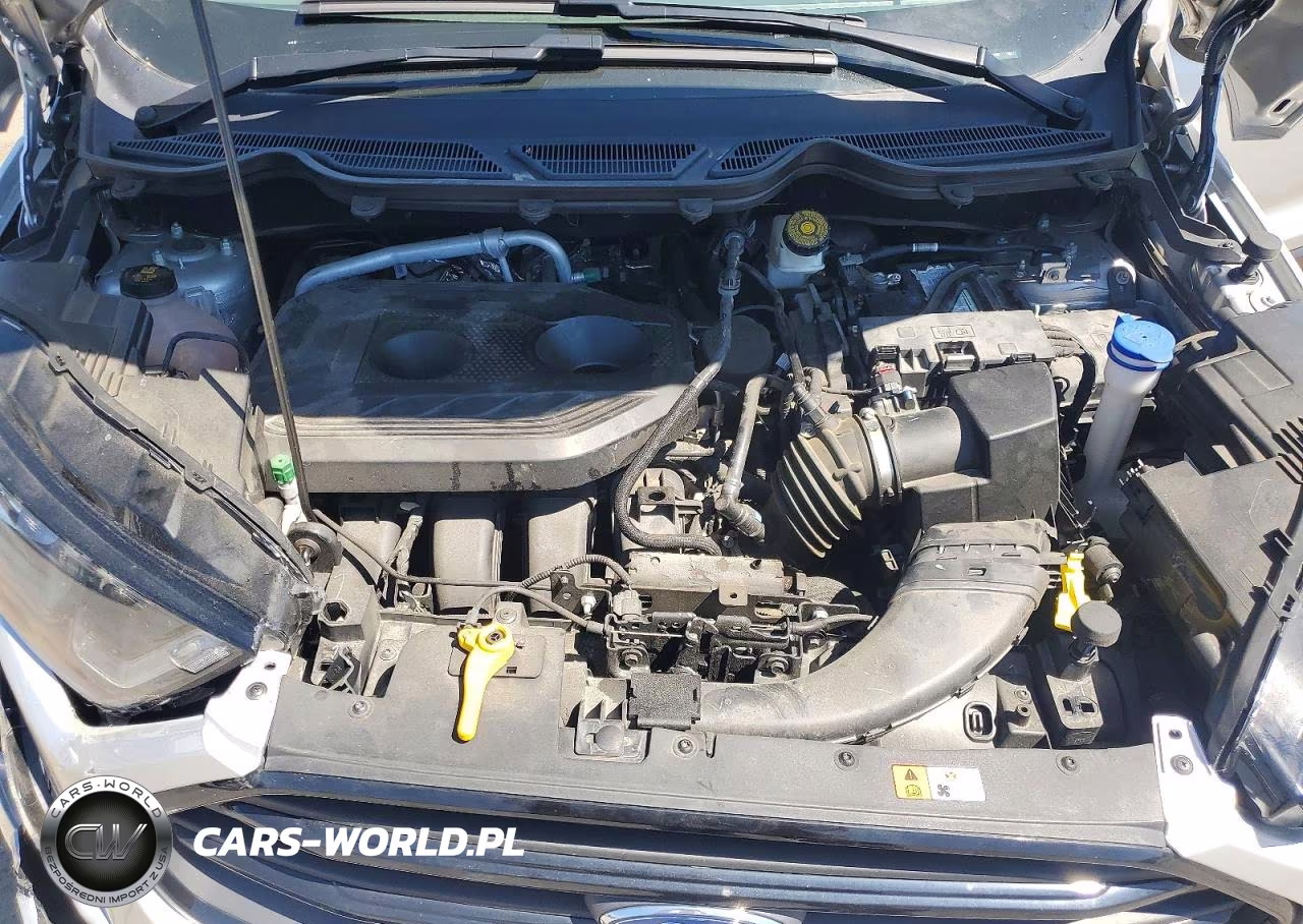 2019 Ford Ecosport Ses VIN:MAJ6S3JLXKC290740 - 12