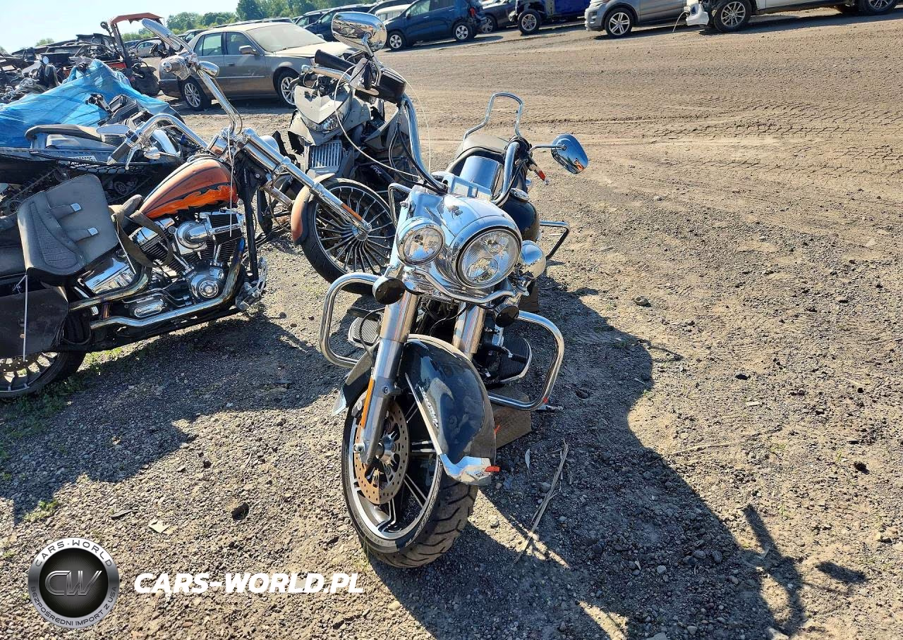 2021 Harley-Davidson Flhr VIN:1HD1FBC13MB669455 - 2