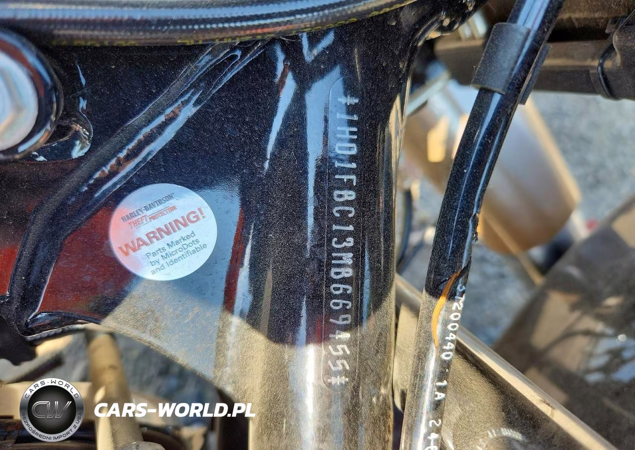 2021 Harley-Davidson Flhr VIN:1HD1FBC13MB669455 - 9