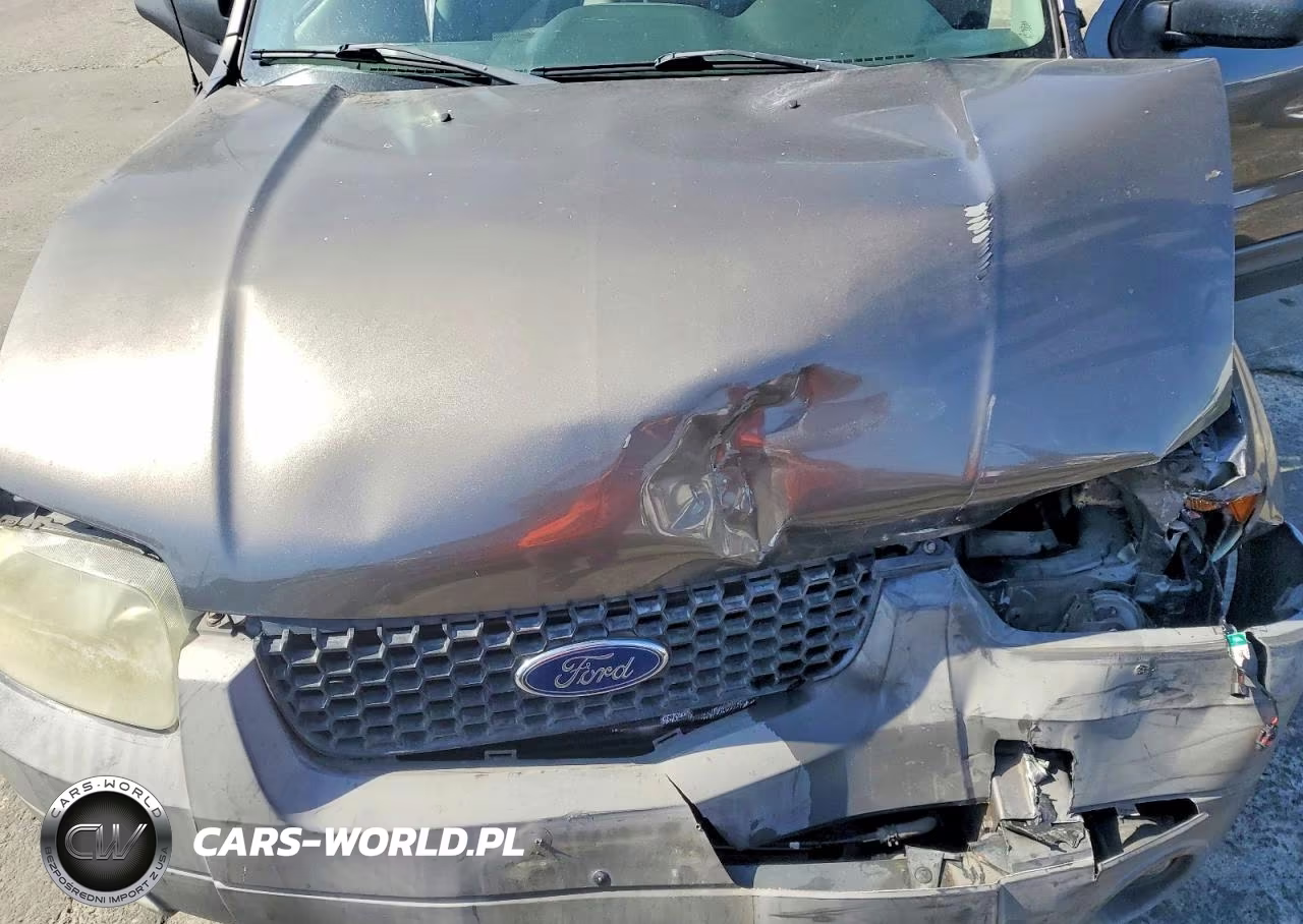 2006 Ford Escape Xlt VIN:1FMYU03166KD54397 - 11