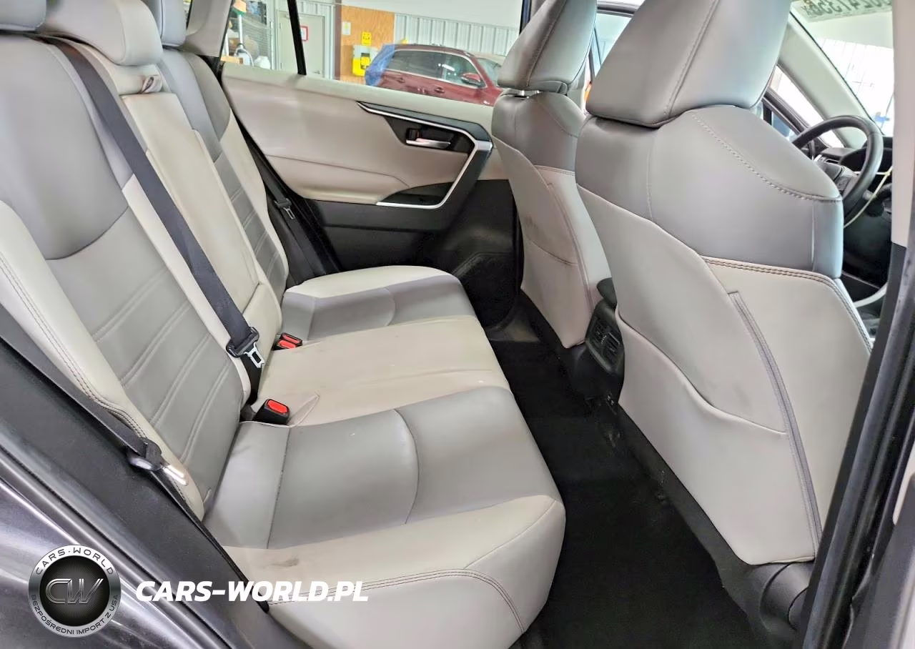 2020 Toyota Rav4 Xle Premium VIN:2T3C1RFV0LC070908 - 10