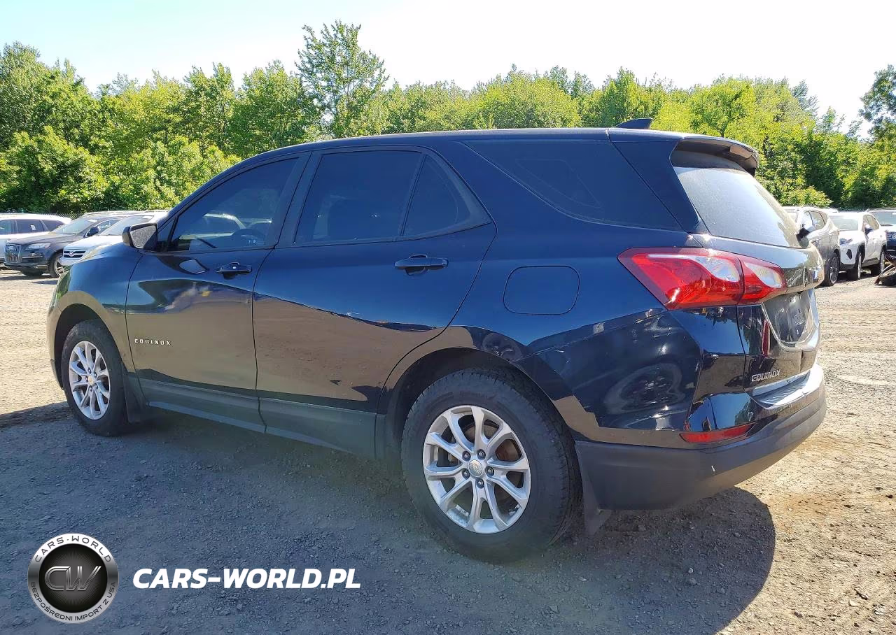 2020 Chevrolet Equinox Ls VIN:3GNAXSEV0LS636096 - 2