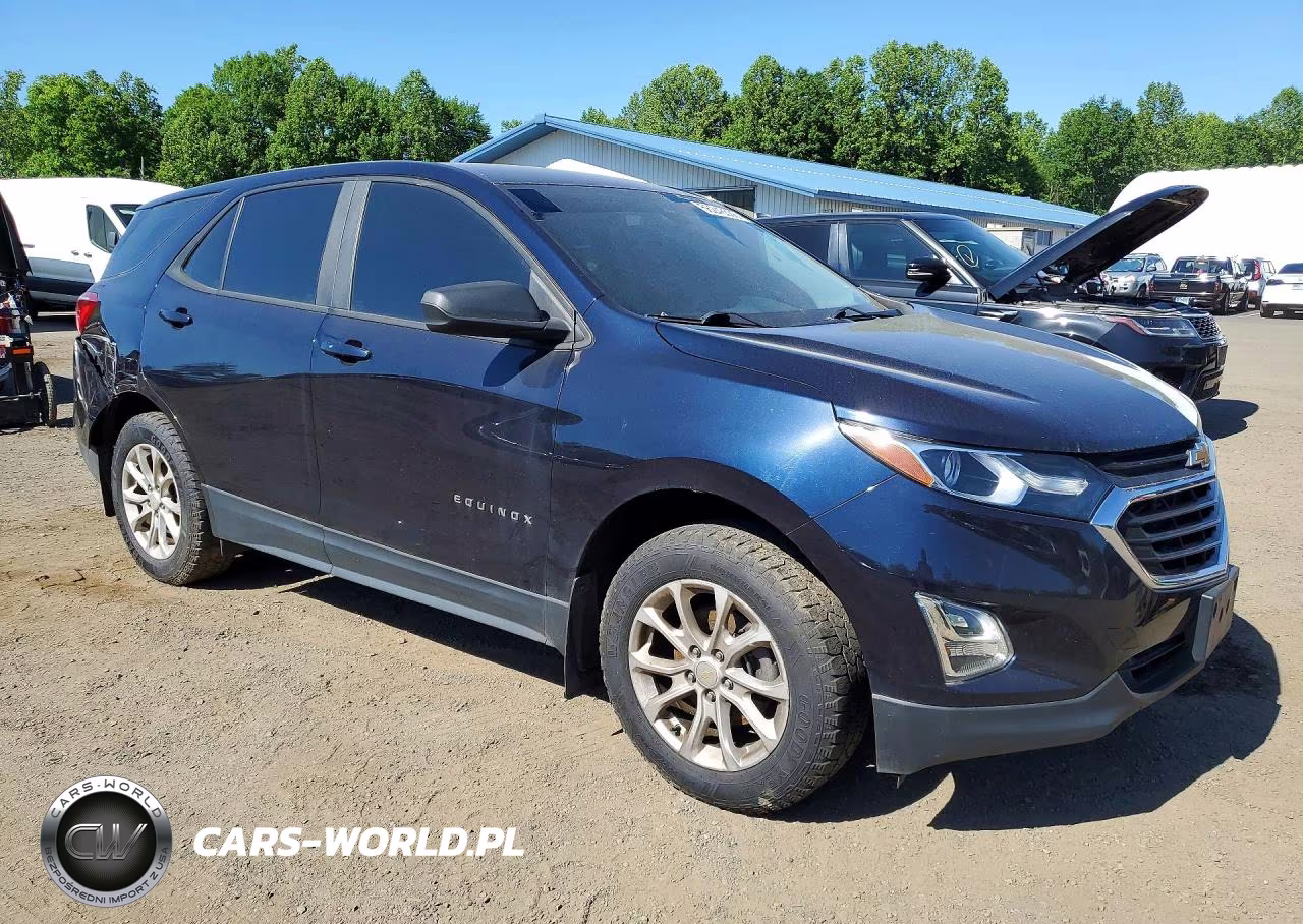 2020 Chevrolet Equinox Ls VIN:3GNAXSEV0LS636096 - 4