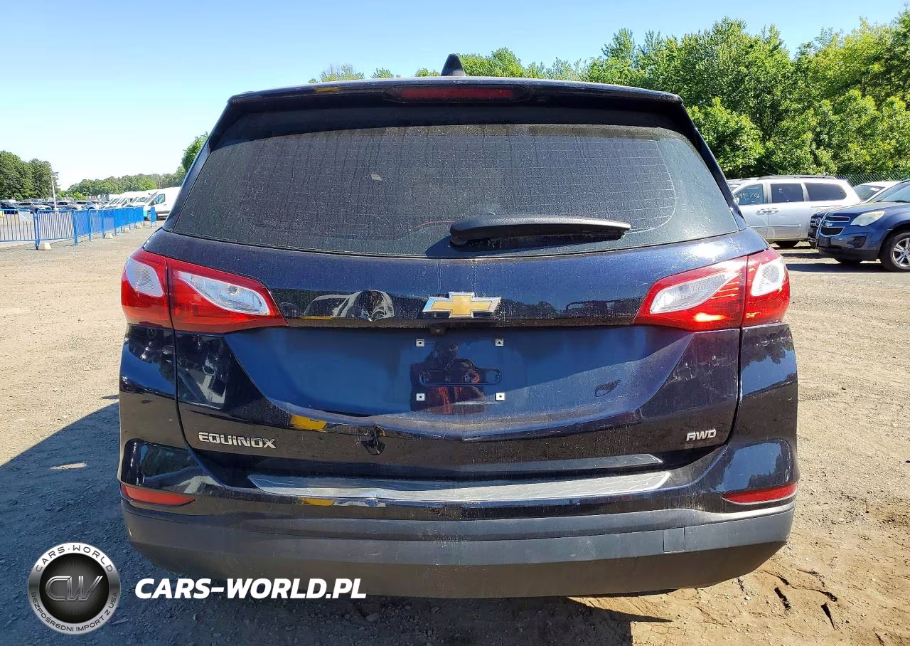 2020 Chevrolet Equinox Ls VIN:3GNAXSEV0LS636096 - 6