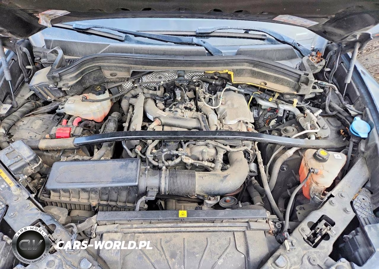 2019 Alfa Romeo Stelvio VIN:ZASPAKAN0K7C32245 - 12