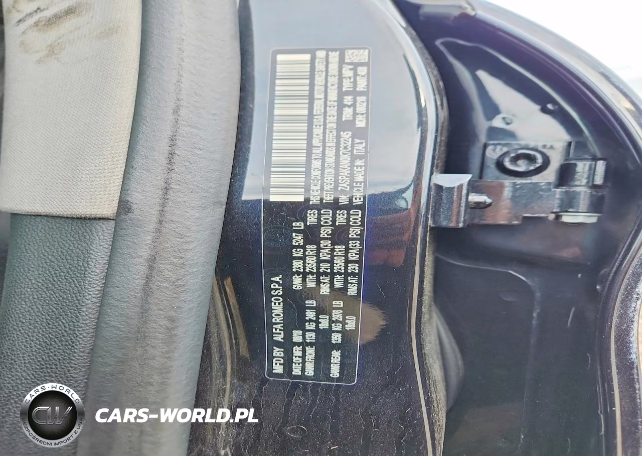 2019 Alfa Romeo Stelvio VIN:ZASPAKAN0K7C32245 - 13