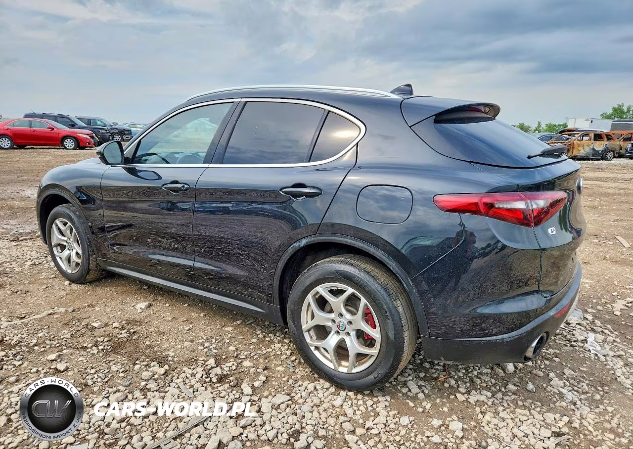 2019 Alfa Romeo Stelvio VIN:ZASPAKAN0K7C32245 - 2