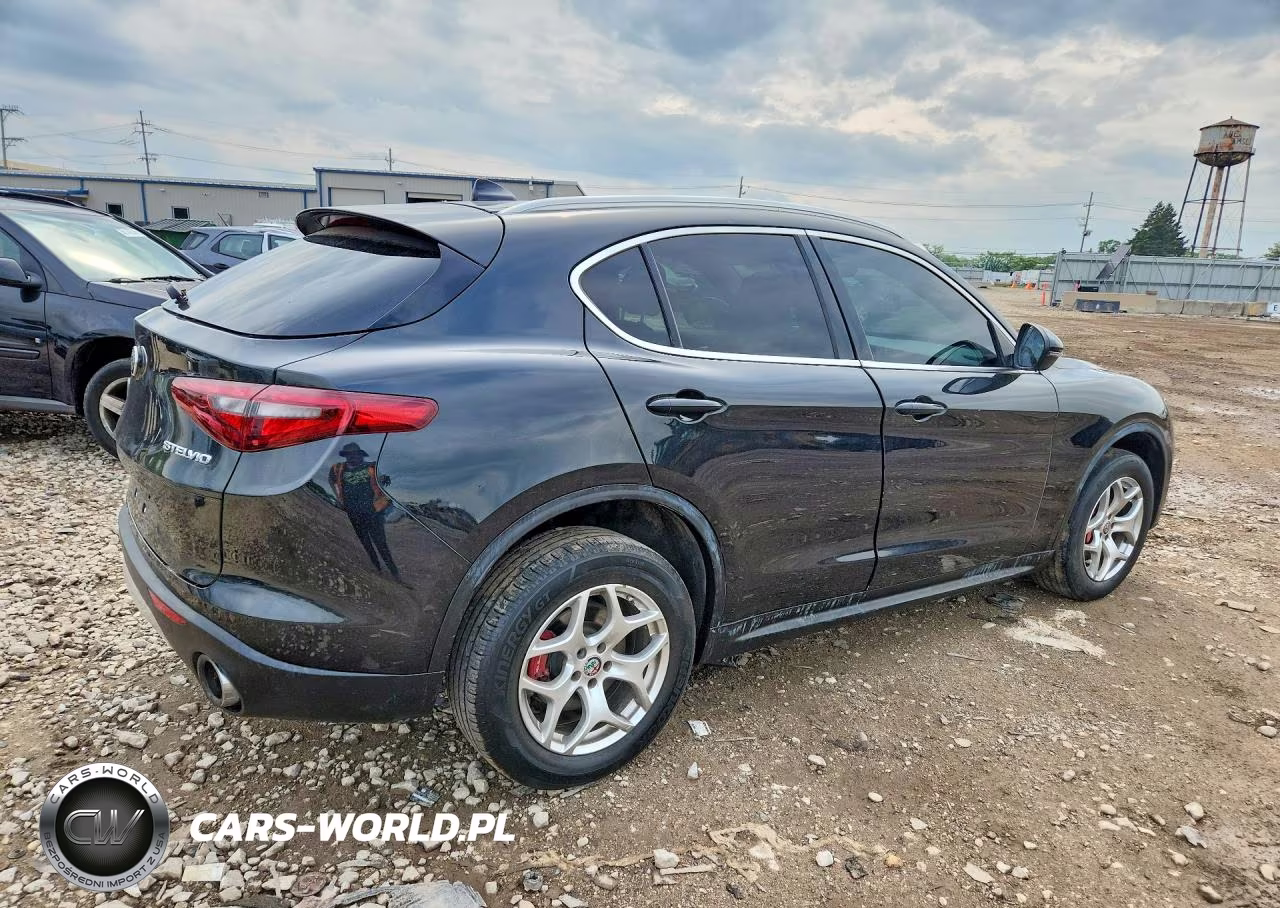 2019 Alfa Romeo Stelvio VIN:ZASPAKAN0K7C32245 - 3